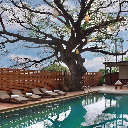 Bamboori Boutique Resort Chiang Mai Ngoại thất bức ảnh
